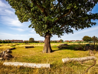 Rosebrook School outdoor area